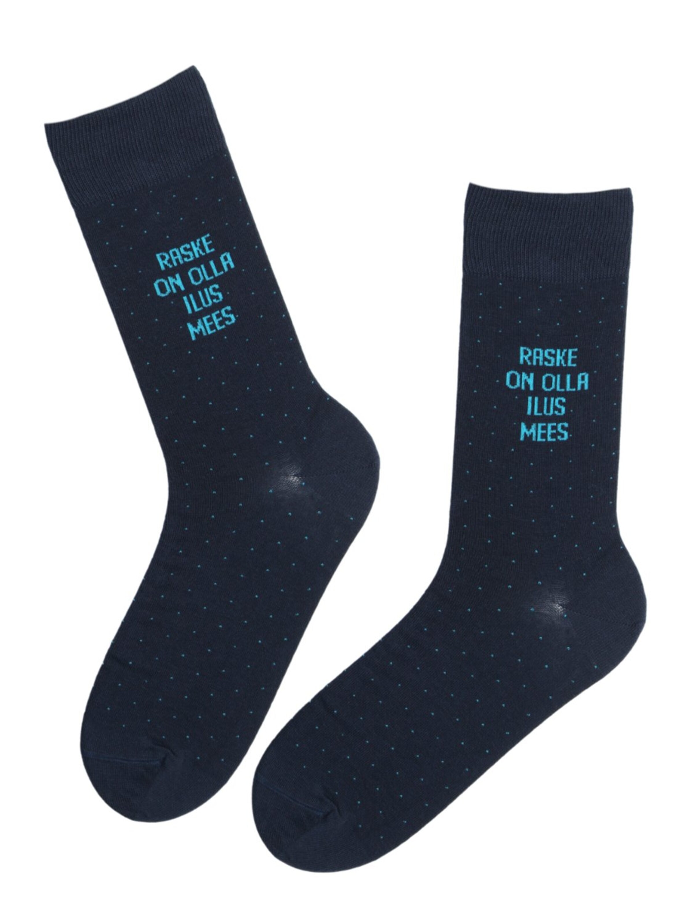Sokisahtel Socks 'TAAVI cotton socks for a handsome man' in Blue: front