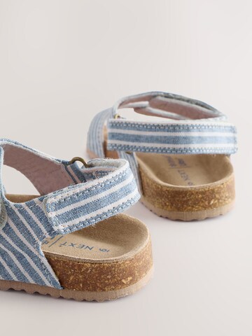 Next Open shoes in Blue