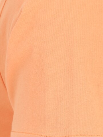 T-Shirt 'CLASSIC' VANS en orange