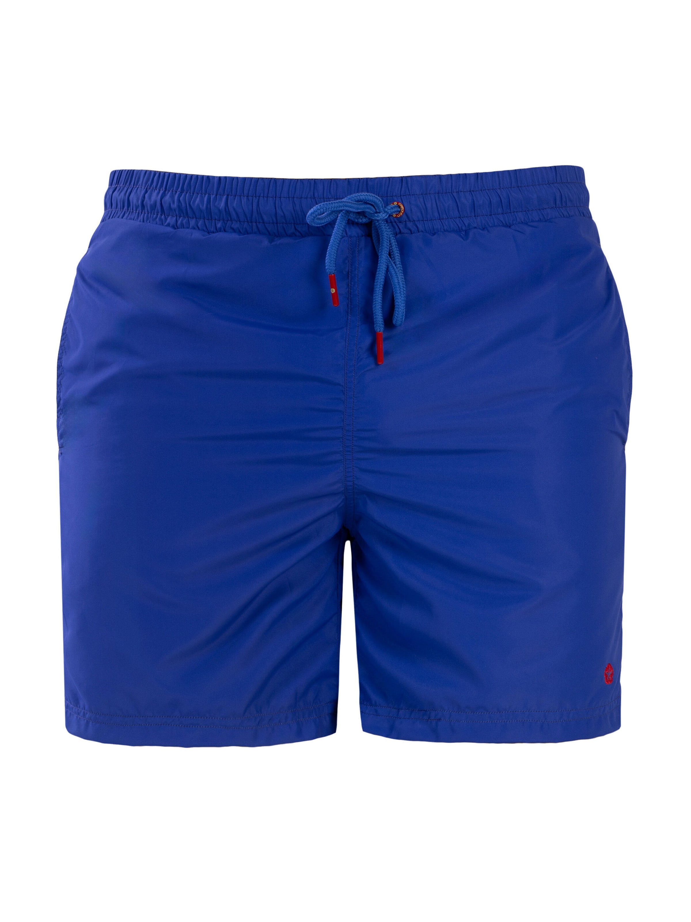 Boardshorts Frozen Cape en bleu : devant