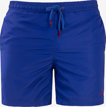 Frozen Cape Swimming Trunks in Blue: front