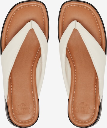 Dune LONDON Flip-Flops 'LONGISLAND' i beige