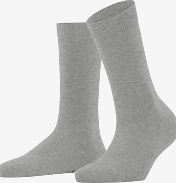 FALKE Socks 'Family' in Grey: front