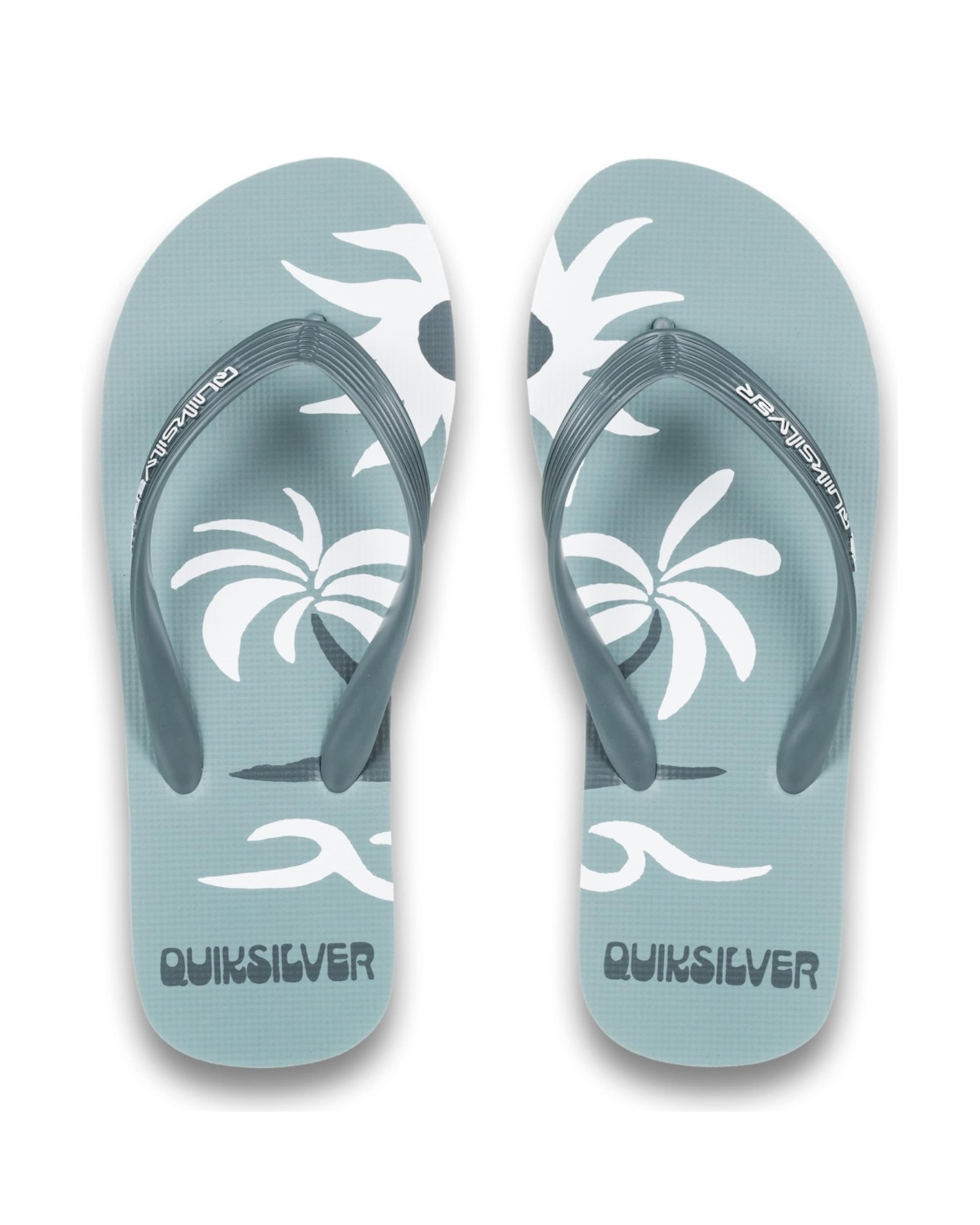 QUIKSILVER Zehentrenner 'Molokai Screen' in Grün