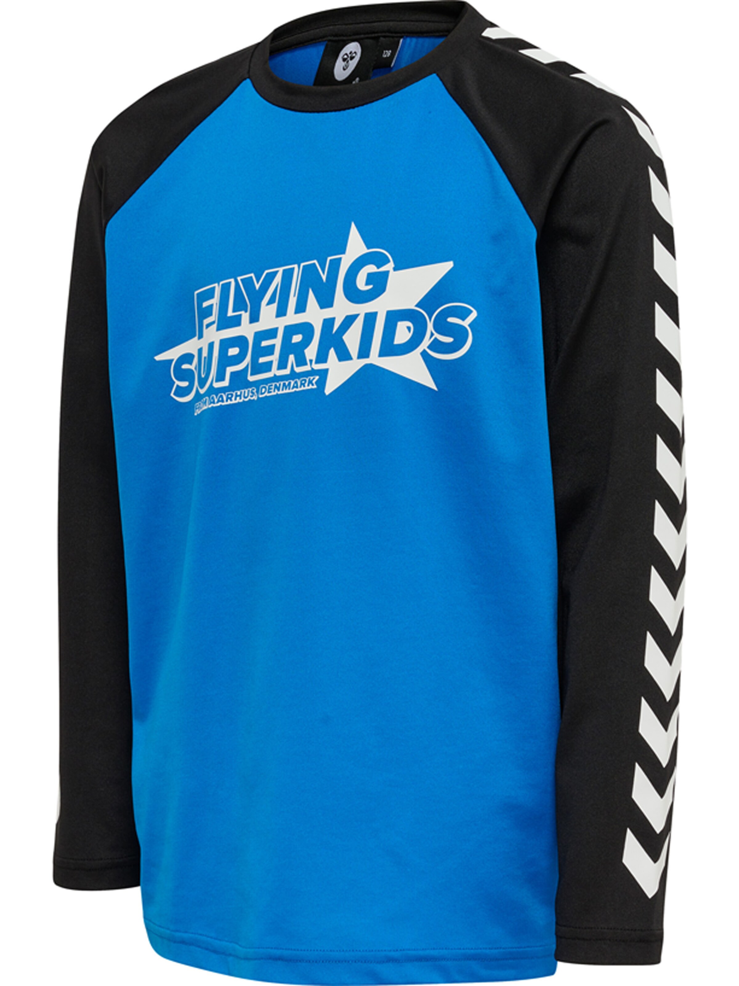 Hummel Shirt 'FLYING CHAMPION' in Blau