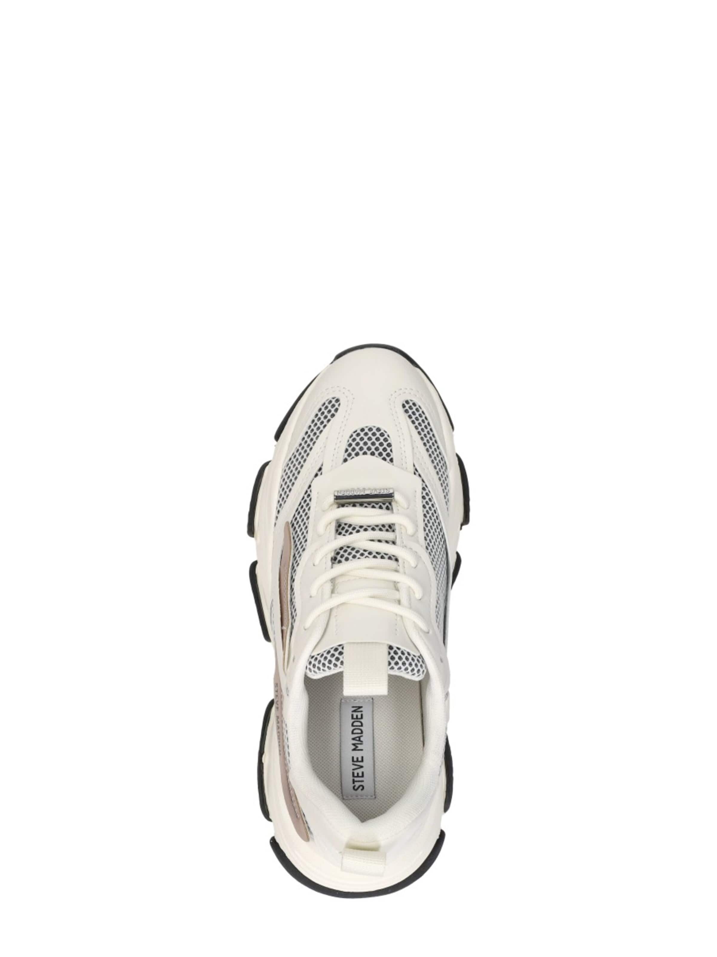 STEVE MADDEN Sneakers 'Possession-E' in White
