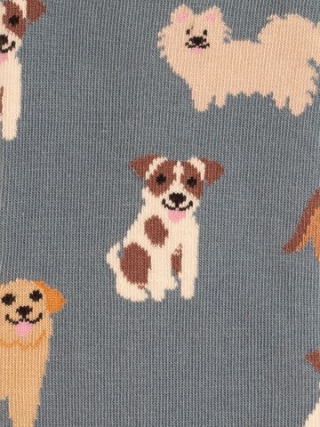Chaussettes 'Animal Attitude' DillySocks en mélange de couleurs