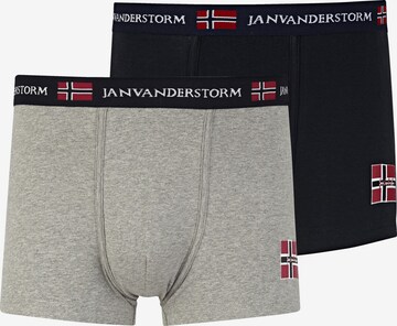 Jan Vanderstorm Boxer shorts ' Tem ' in Grey: front