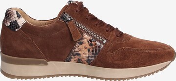 GABOR Lace-Up Shoes in Brown