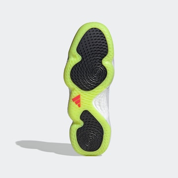 ADIDAS PERFORMANCE Sportschuh 'Stabil 16' in Grau