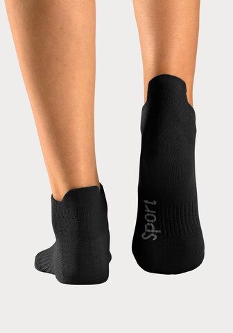 BENCH Athletic Socks in Black
