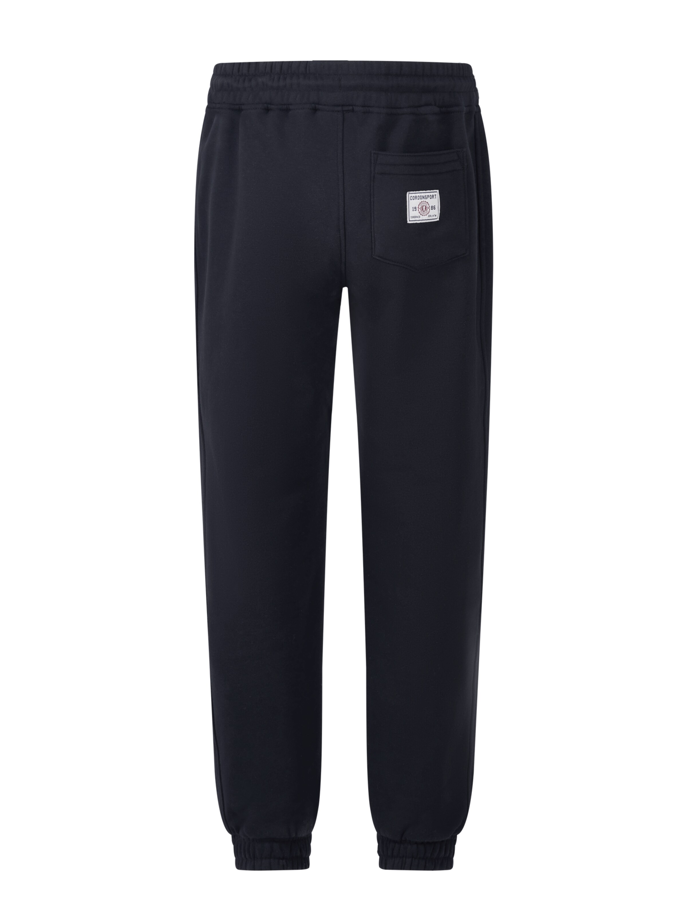 Cordon Sport Regular Workout Pants 'Max Pro' in Black
