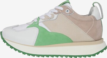 Apple of Eden Sneakers 'LOLA' in Mixed colors