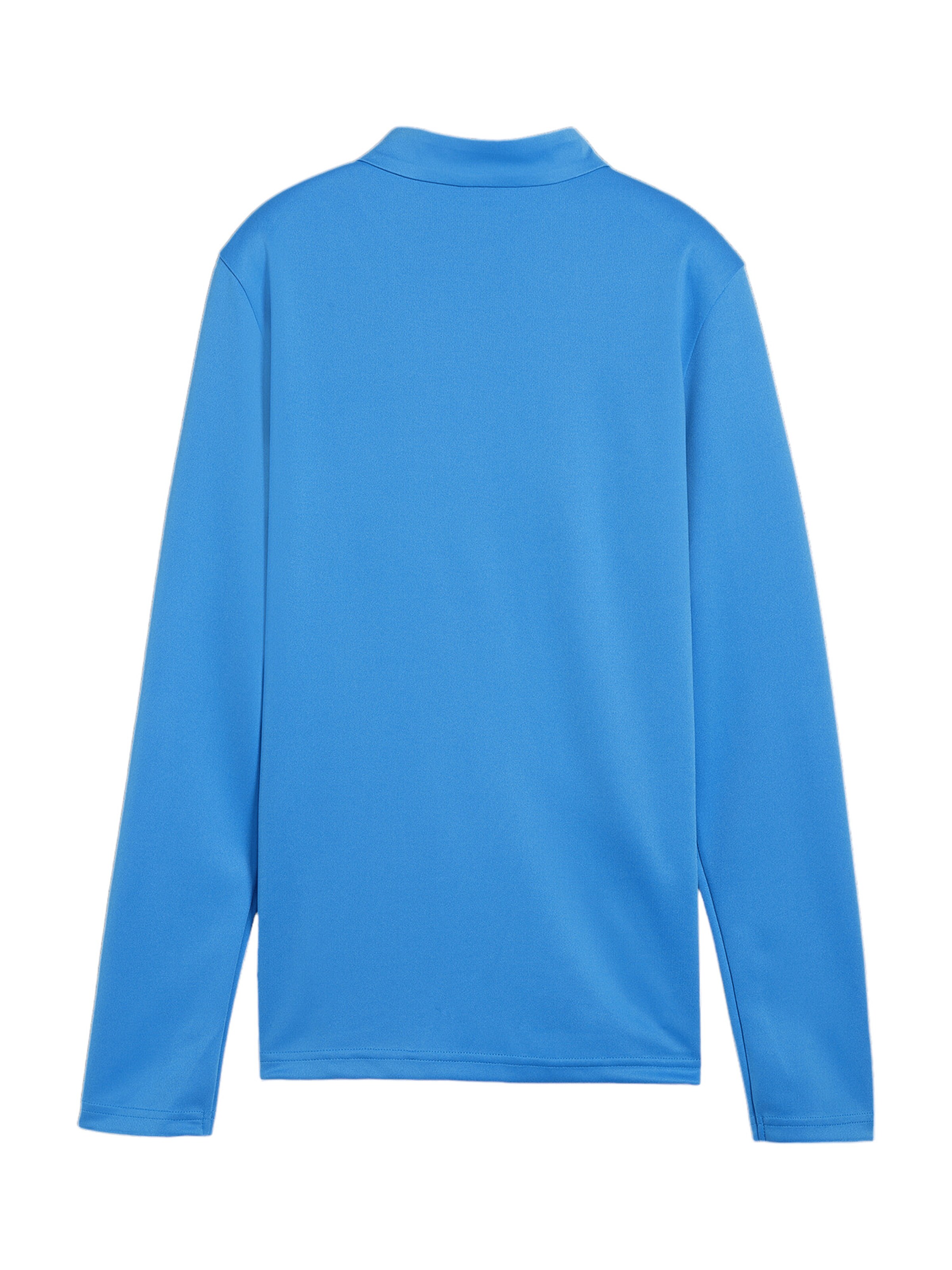PUMA Performance Shirt 'TeamGoal' in Blue