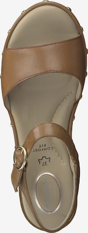 TAMARIS Sandals in Brown