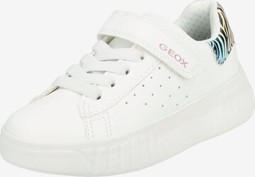 GEOX Sneakers in Wit: voorkant