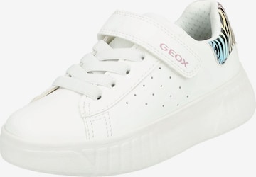 Baskets GEOX en blanc : devant