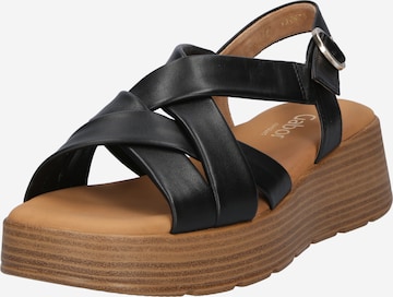 GABOR Strap Sandals in Black: front