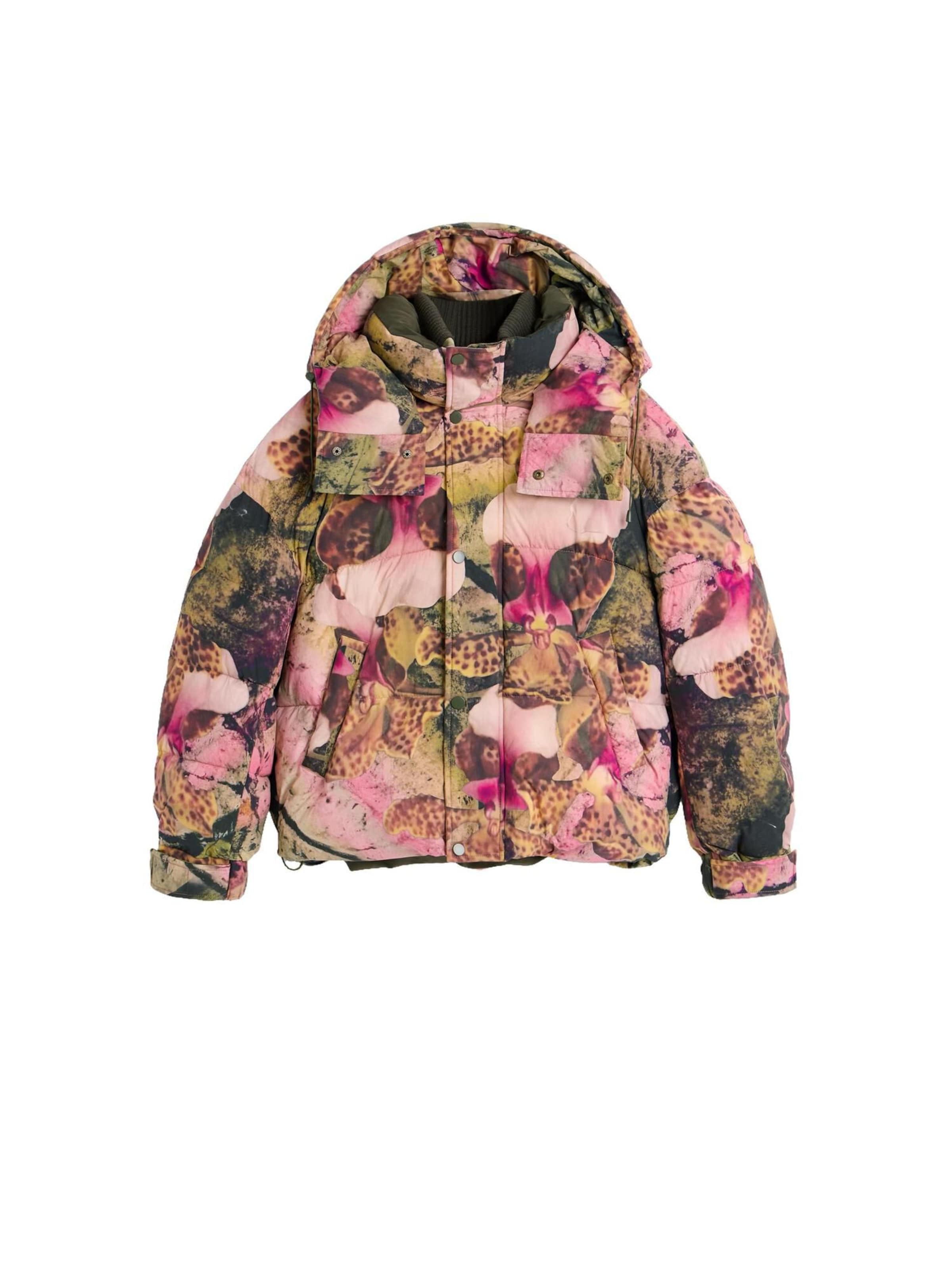 Desigual Winter Jacket 'M. C. Lacroix' in Pink: front