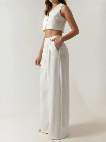 Hiccup Wide leg Pleat-Front Pants in White
