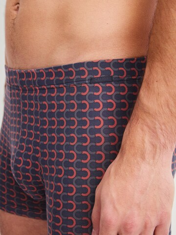 CALIDA Boxer shorts 'Grafic Cotton' in Grey