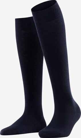 FALKE Knee High Socks 'Softmerino' in Blue: front
