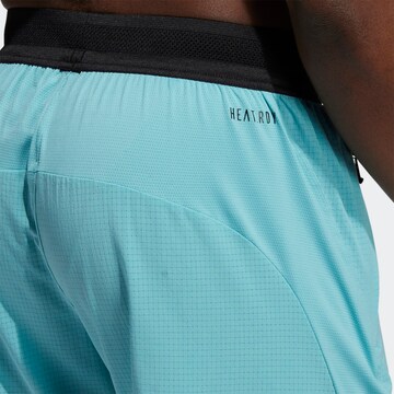 ADIDAS SPORTSWEAR Regular Shorts in Blau