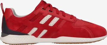 GEOX Sneaker in Rot