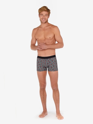 HOM Boxer shorts 'Roses Love' in Mixed colors: front