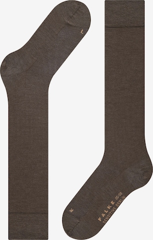 FALKE Over the Knee Socks 'Sensitive Berlin' in Brown: front