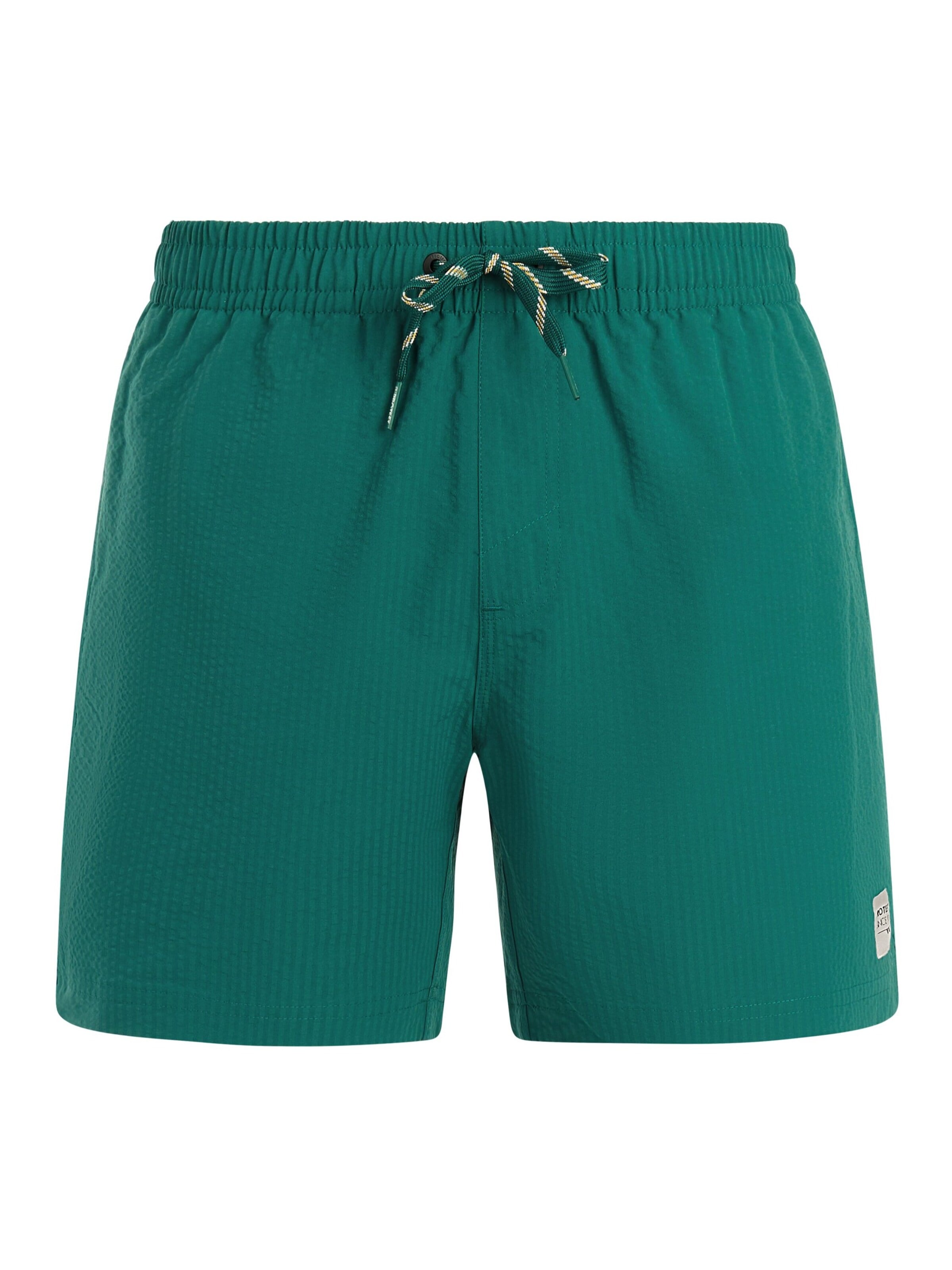 PROTEST Board Shorts 'PRTAgden' in L/Regular in Green, Item view