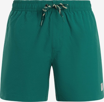 Shorts de bain 'PRTAgden' PROTEST en vert : devant