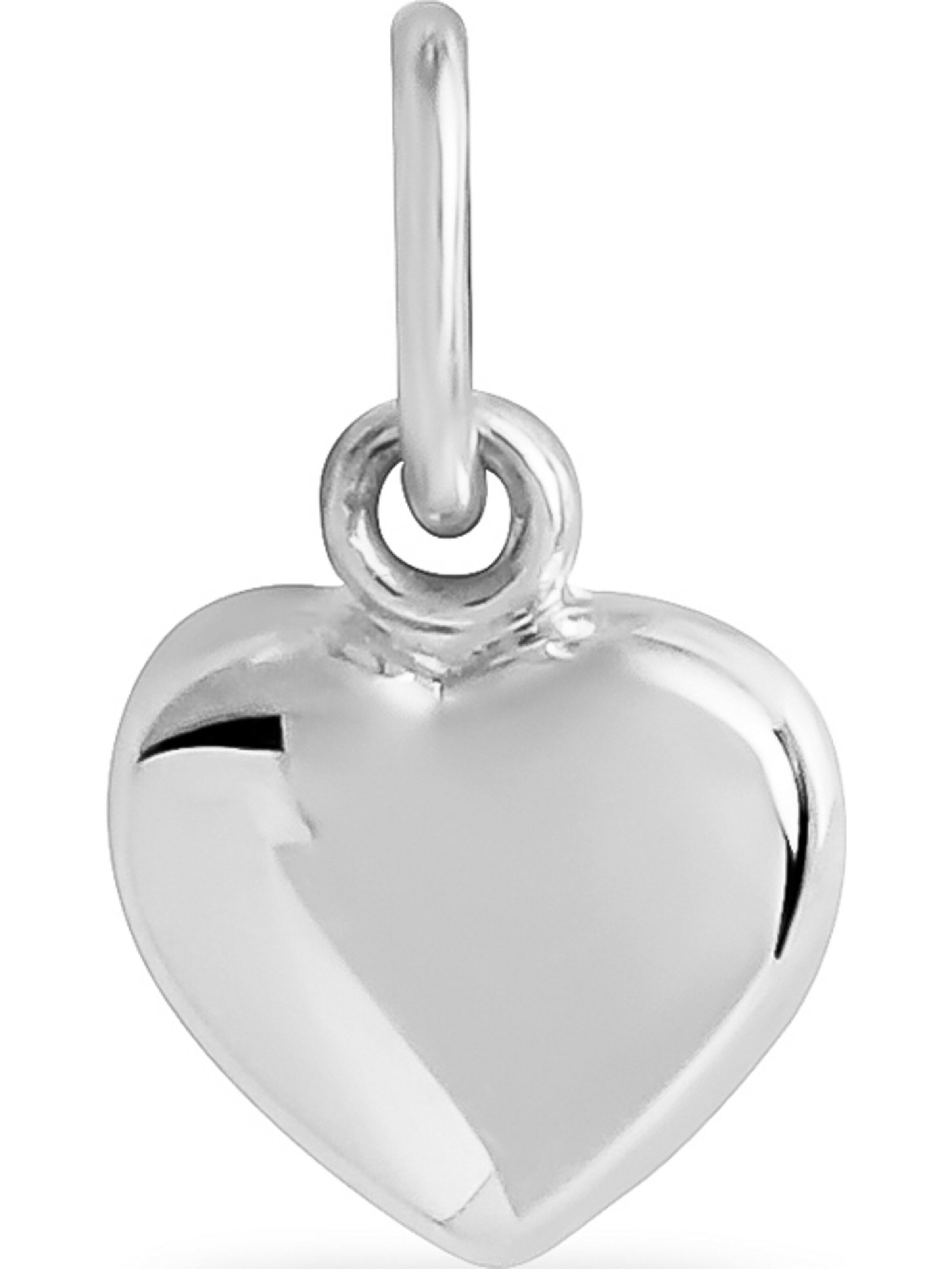 FAVS Anhänger in Silber: Vorderseite