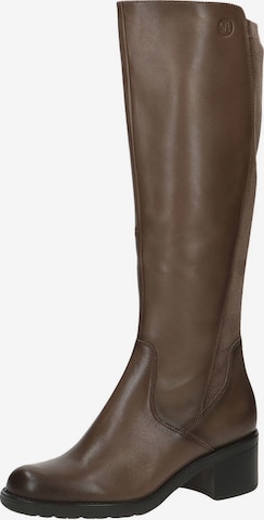 CAPRICE Stiefel in Beige: predná strana