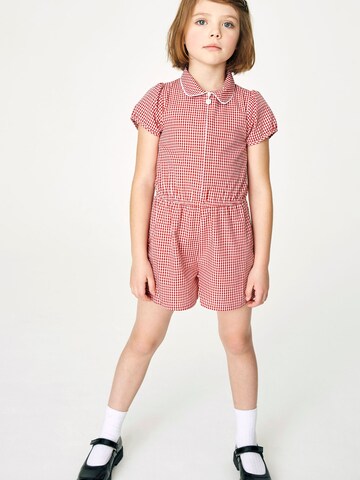 Next Overall in Rood