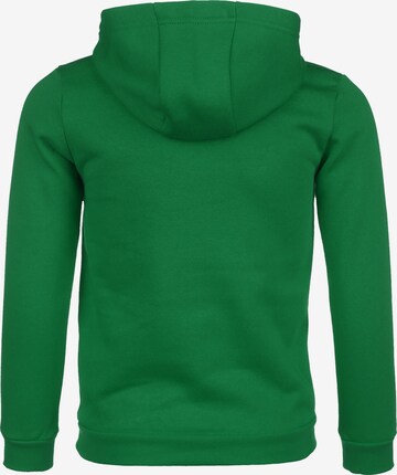 ADIDAS PERFORMANCE Sports sweatshirt 'Entrada 22 Sweat' in Green