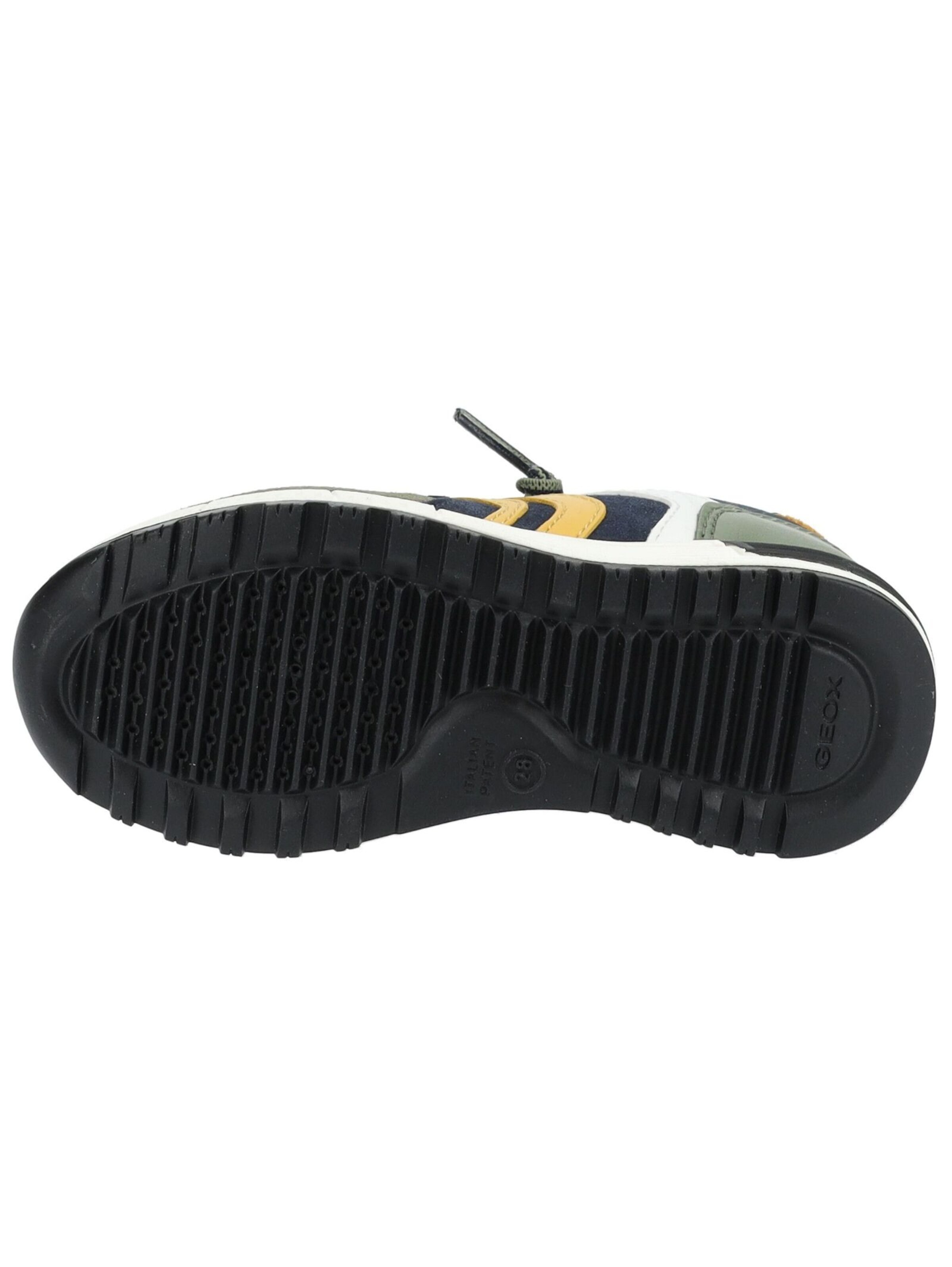 GEOX Sneaker in Grün