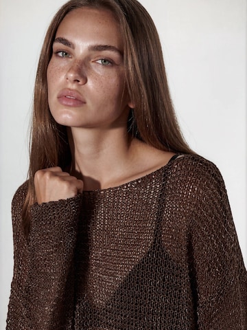 Pullover di Hiccup in marrone