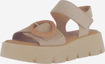 Sandalo di GABOR in beige: frontale