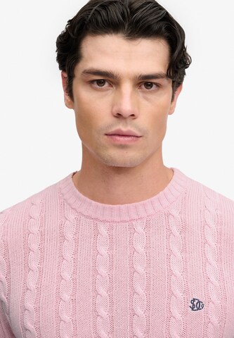 Pullover di Superdry & Co in rosa