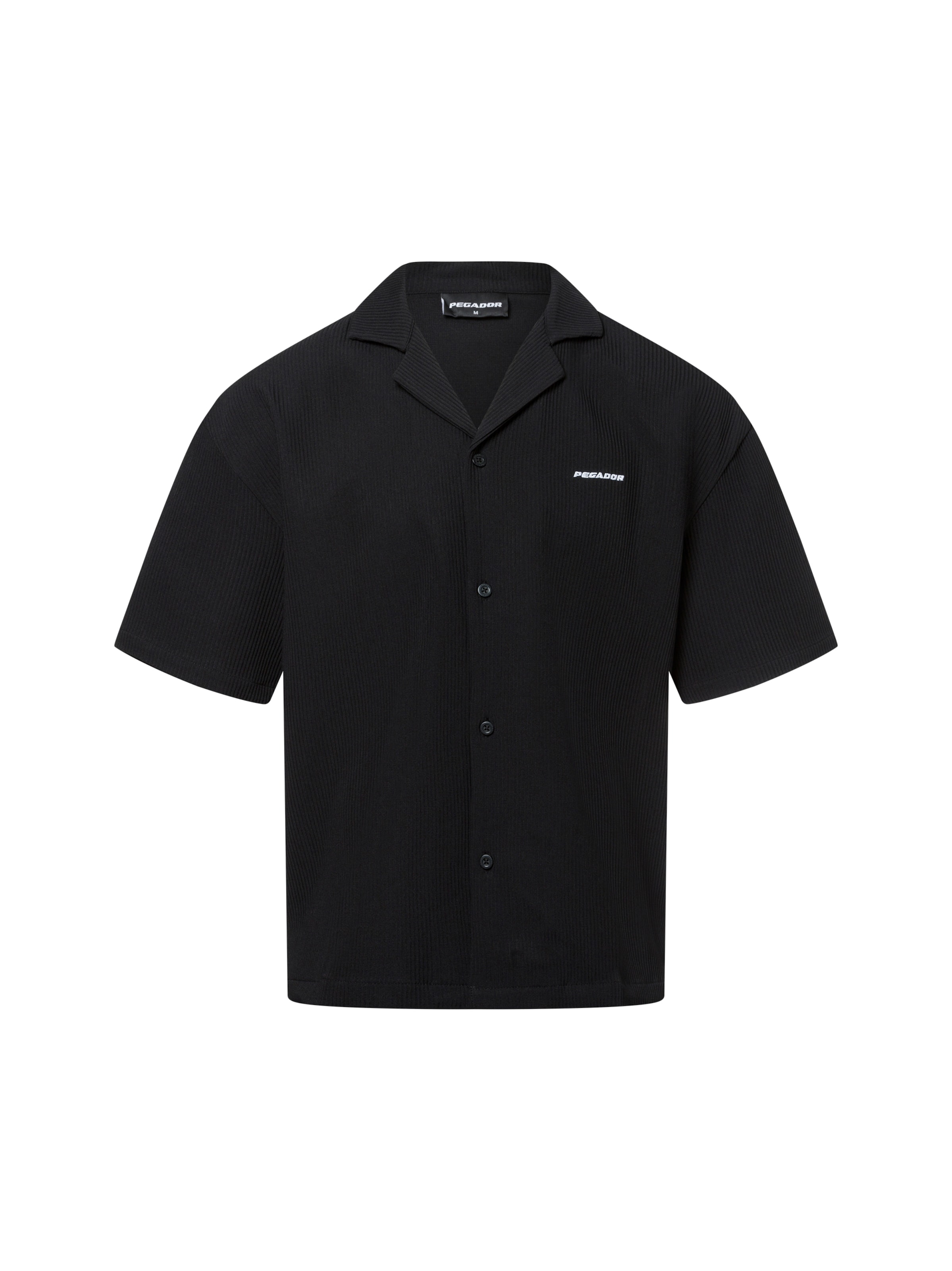 Pegador Классический крой Рубашка 'Troy' в Черный: спереди