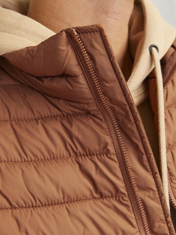 JACK & JONES Елек 'JJEState' в кафяво