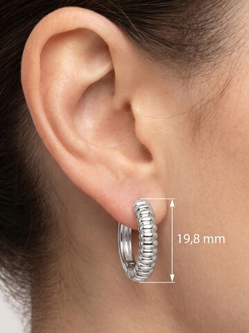 Jobo Earrings in Silver