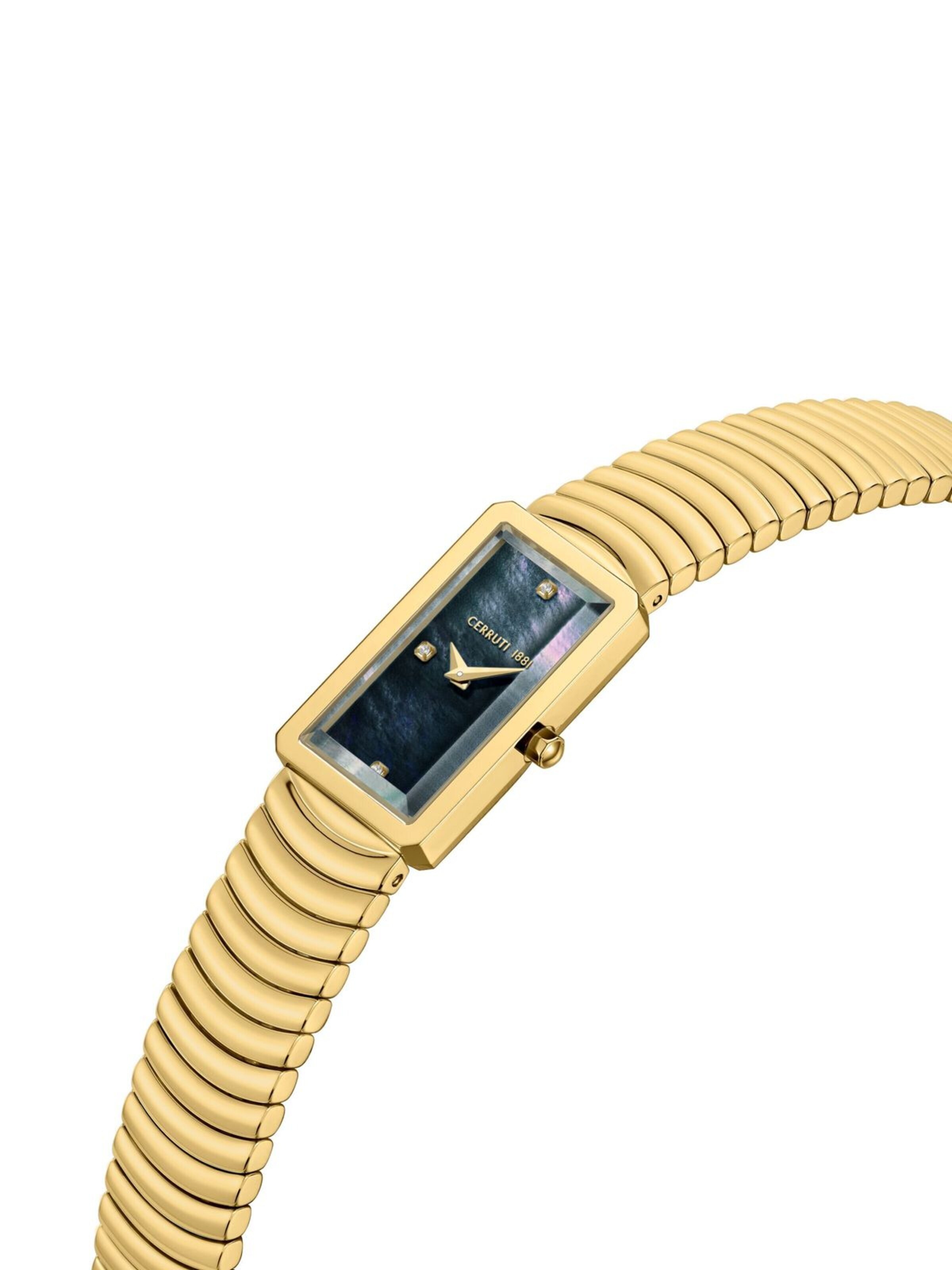 CERRUTI 1881 Analog watch 'Watch VALLUCCIOLE' in Gold