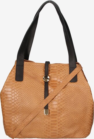 Gave Lux Handbag in Brown: front