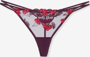 purpurinė ETAM Siaurikės: priekis