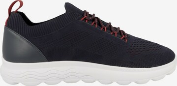 GEOX Sneakers laag 'Spherica' in Blauw