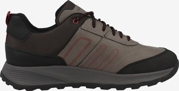 GEOX Sneakers laag 'Terrestre' in Grijs