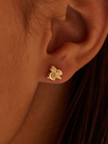 Lucardi Jewelry in Gold