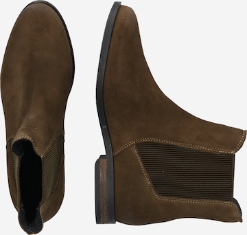 Apple of Eden Chelsea Boots in Brown